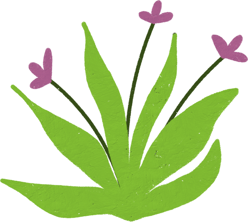 flower garden spring